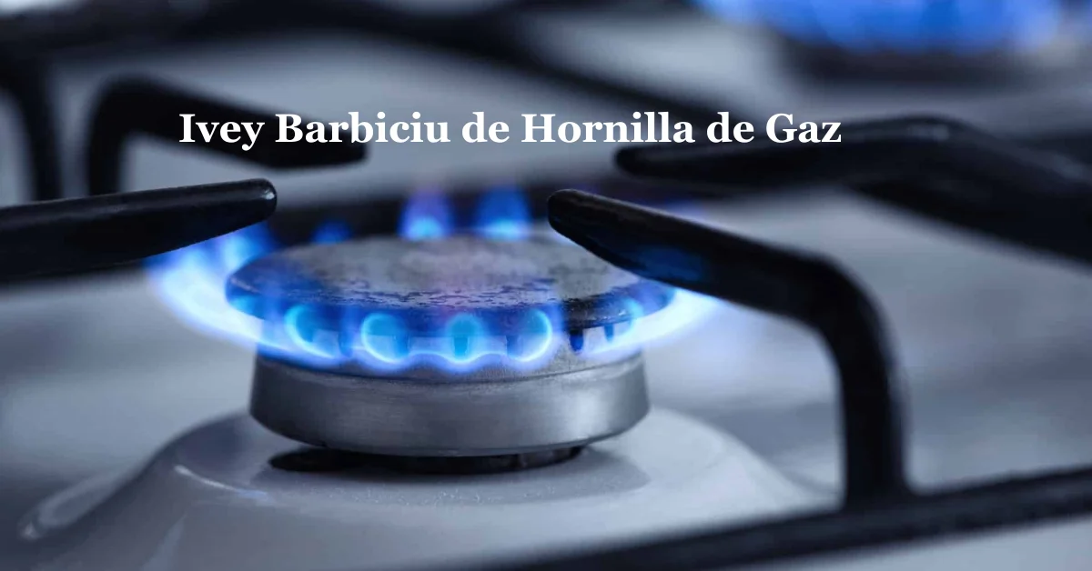 The Ultimate Guide to the Ivey Barbiciu de Hornilla de Gaz