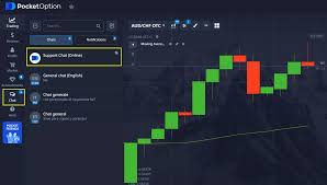 The Ultimate Guide to Trading on Pocket Option 12