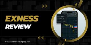 Comprehensive Guide to Exness Information 14 Comprehensive Guide to Exness Information 14